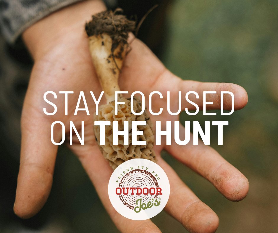 OutdoorJoes's tweet photo. May is prime time for mushroom hunting!🍄🔍

While you are searching the forest floor, do not forget what is lurking nearby. Poison ivy can ruin a great day fast.

Enjoy every step of the hunt with Outdoor Joe's®:  https://t.co/QrdCMvmGS5 https://t.co/Y88XtfmhwP