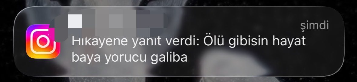 neo 𓆝 tweet media