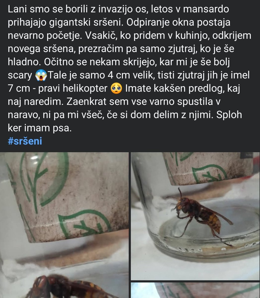 LaraTheCookie tweet media