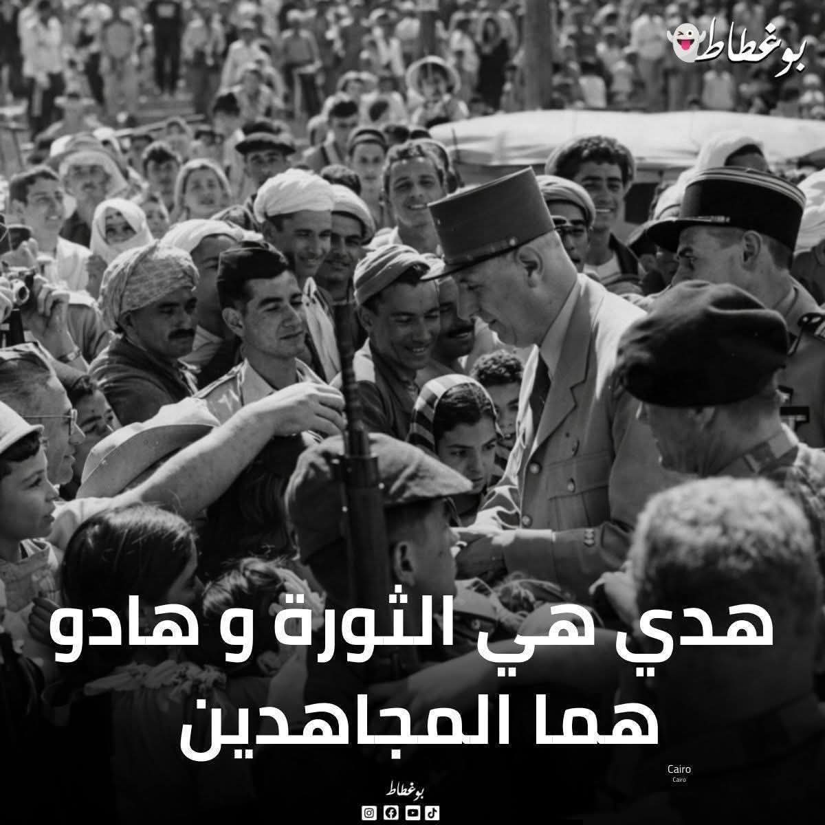 نور tweet media