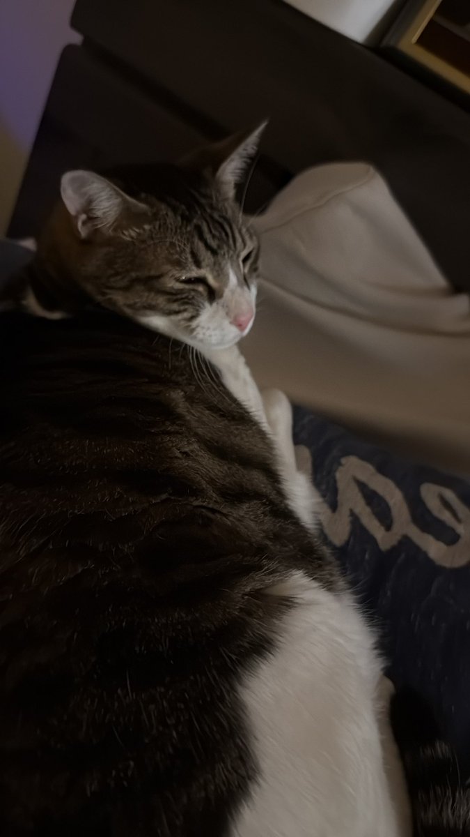 あむちん2＠本垢凍結中 tweet media