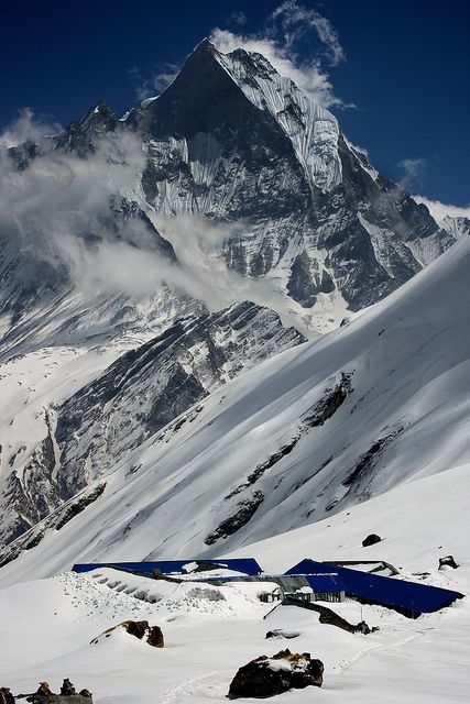 The Mountains tweet media