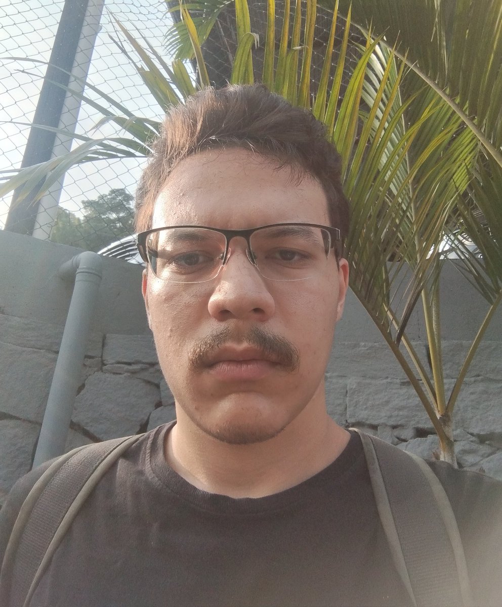 Sandro 2 tweet media