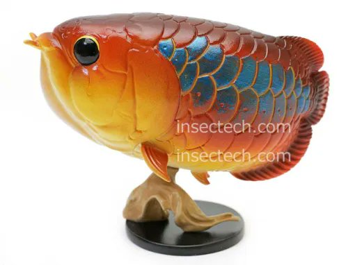 insectech 昆虫採集と標本用品の専門店 よねざわ昆虫館 虫フェスⅥ 7/5（日） tweet media