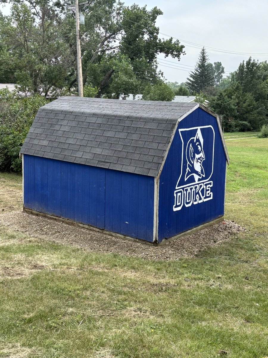 bornhatinduke's tweet photo. My aunt moved into a new place. Previous owners were Duke fans…

We fixed the shed, upgrading it to the right shade of blue.

#GoHeels🐏 https://t.co/bZ2truNj31