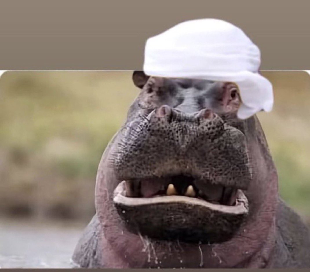 تركي محمد tweet media