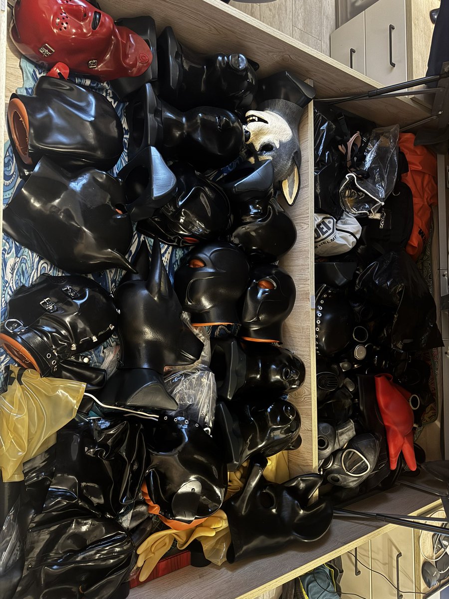 🐾 𝕄𝕒𝕩 𝕡𝕦𝕡 🐾 MlatexM tweet media