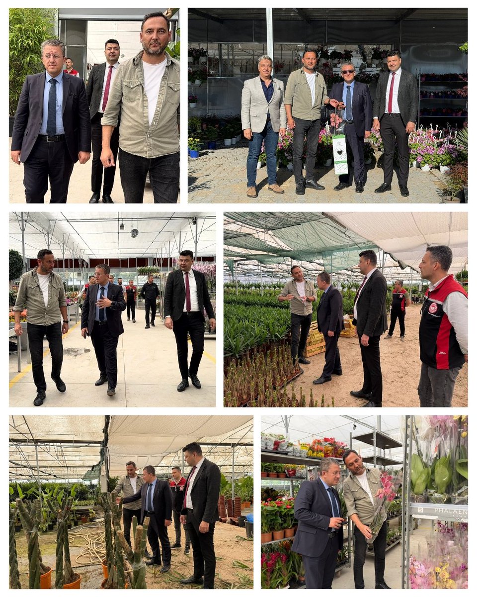 izmirtarim's tweet photo. İzmir'in Bayındır ilçesi, Türkiye'nin süs bitkileri üretiminde "çiçeğin başkenti" olarak kabul edilen önemli bir merkez. 

İl Müdürümüz Kahraman Akdoğan, ilçenin süs bitkileri üretiminde öncü firmalarından Fidan Burada'yı ziyaret ederek çalışmalarını yerinde inceledi. https://t.co/GPpxGtQIBA