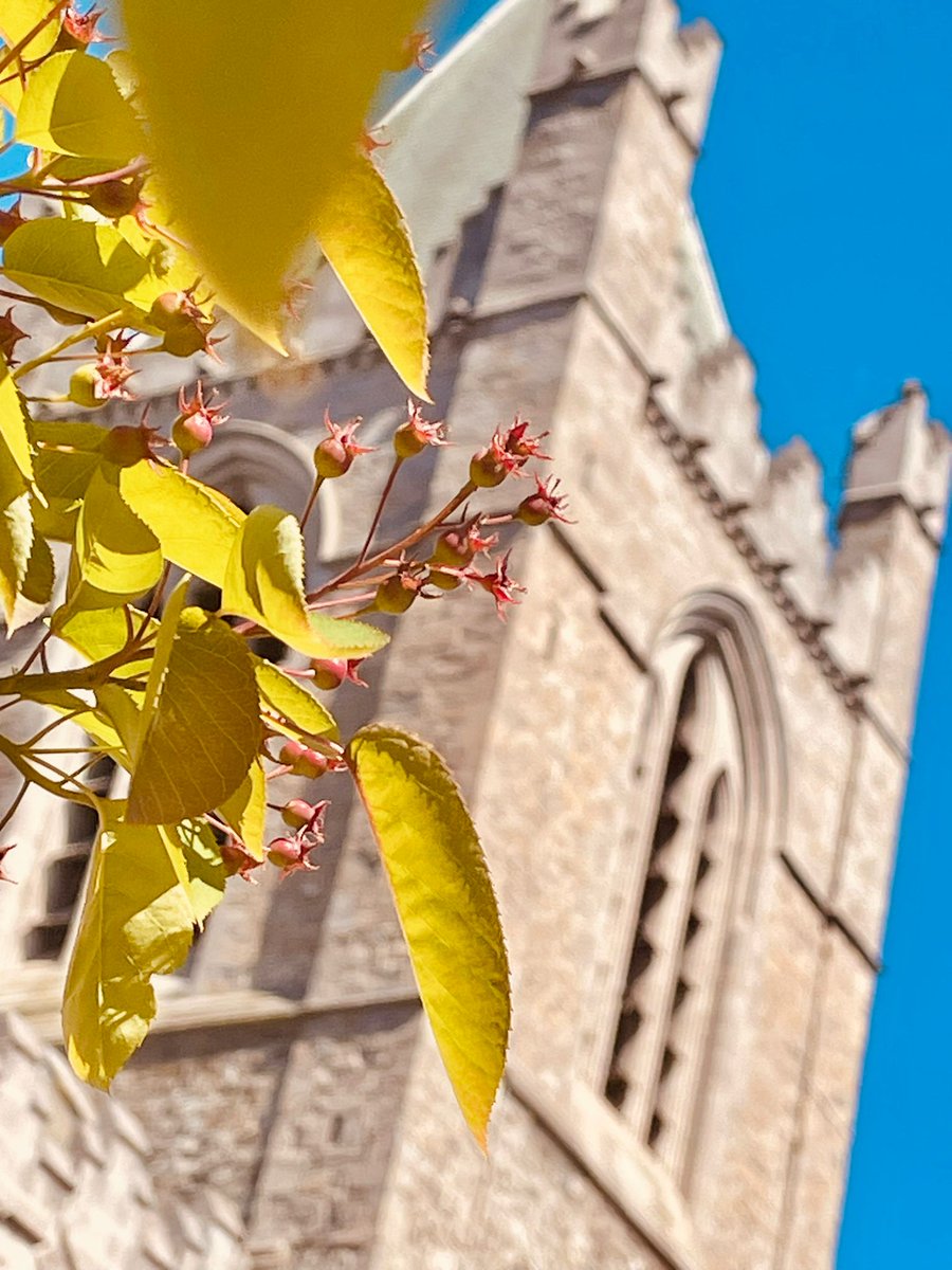 Christ Church Cathedral tweet media
