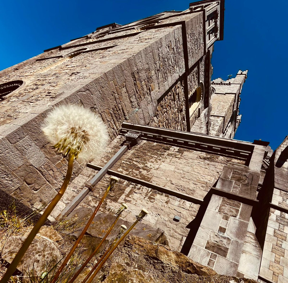 Christ Church Cathedral tweet media