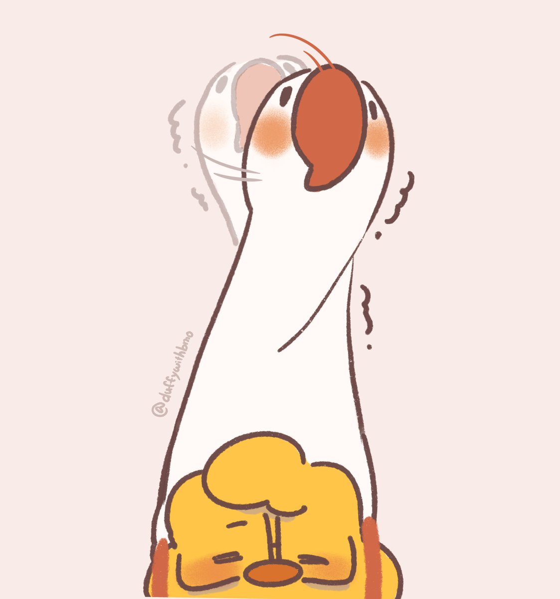 yuji/油雞 tweet media