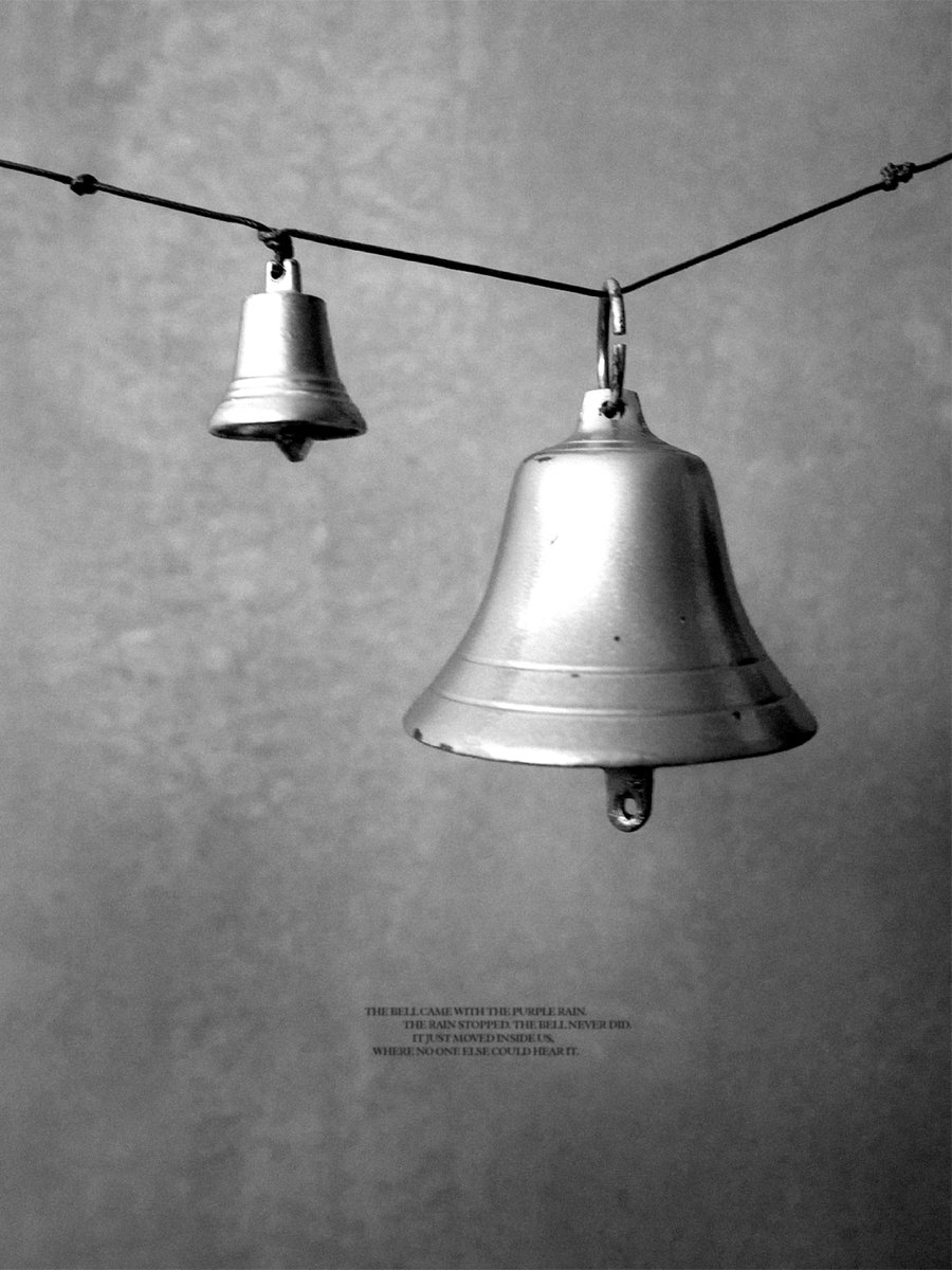 Billlieofficial tweet media