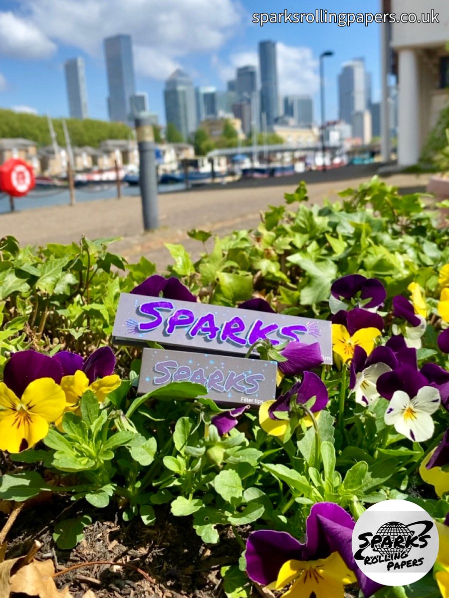 SparksRPuk's tweet image. Tuesday strolls🚶‍♂️wid da Sparks Duo💯 #sparksrollingpapers #stroll #tuesday #views #scenery