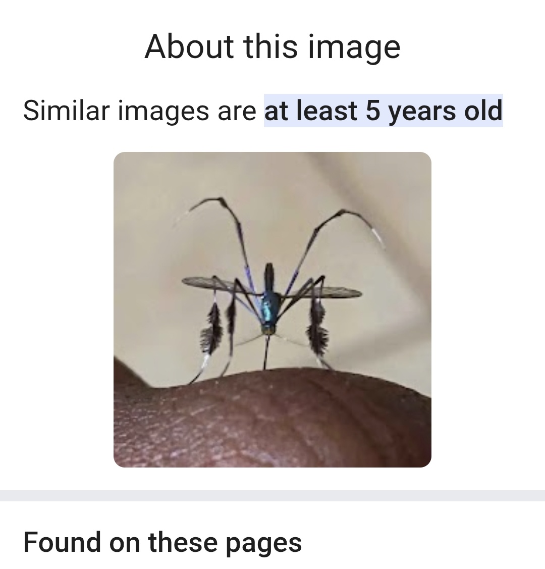 oyin || 👻ban era tweet media