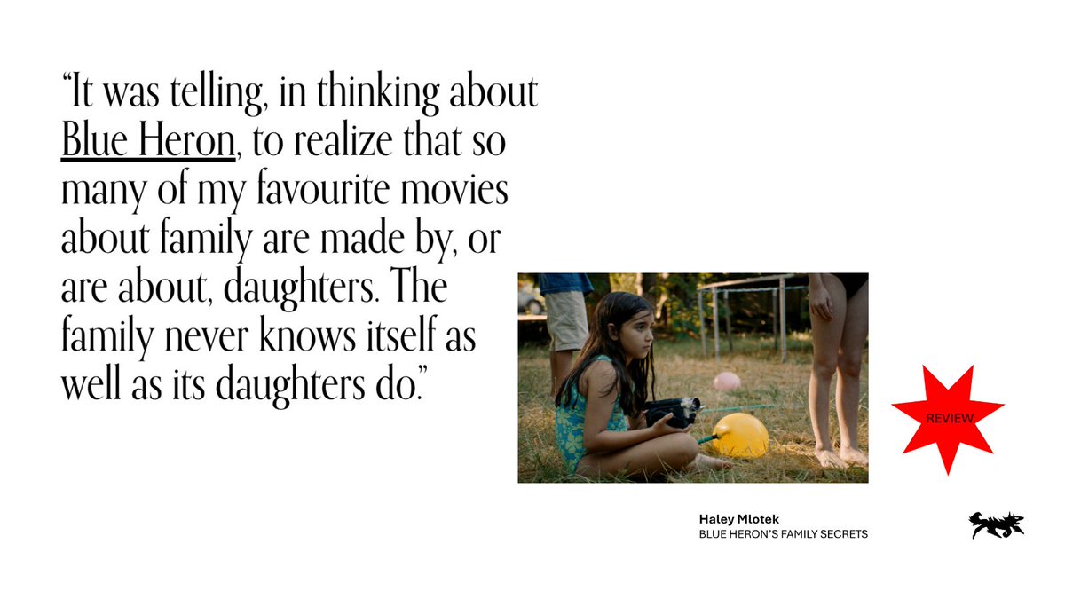 Toronto Review tweet media