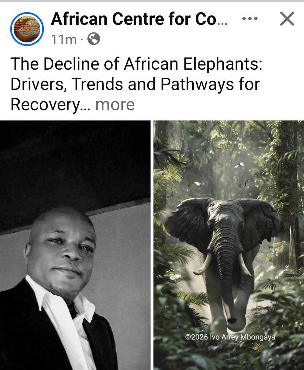 AccdPage's tweet image. The Decline of #African Elephants: Drivers, Trends and Pathways for Recovery 
Author: Ivo Arrey Mbongaya (@ivoarrey) 
African Centre for Community and Development (@AccdPage) 
Contact arreymbongayaivo@gmail.com
youtube.com/post/UgkxkdOar…
#elephants #conservation #research #ESG #CSR