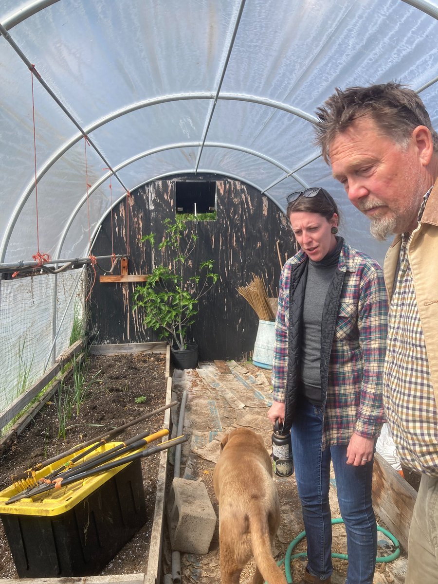 AgrarianSharing's tweet photo. Always lovely, the meeting of fellowship and the deep agrarian. A day of procession through four homesteads, knit together in generative, biocultural participation in the 100% volunteer-driven Agrarian Sharing Network Seed Increase Initiative. https://t.co/hKVWI2amwK