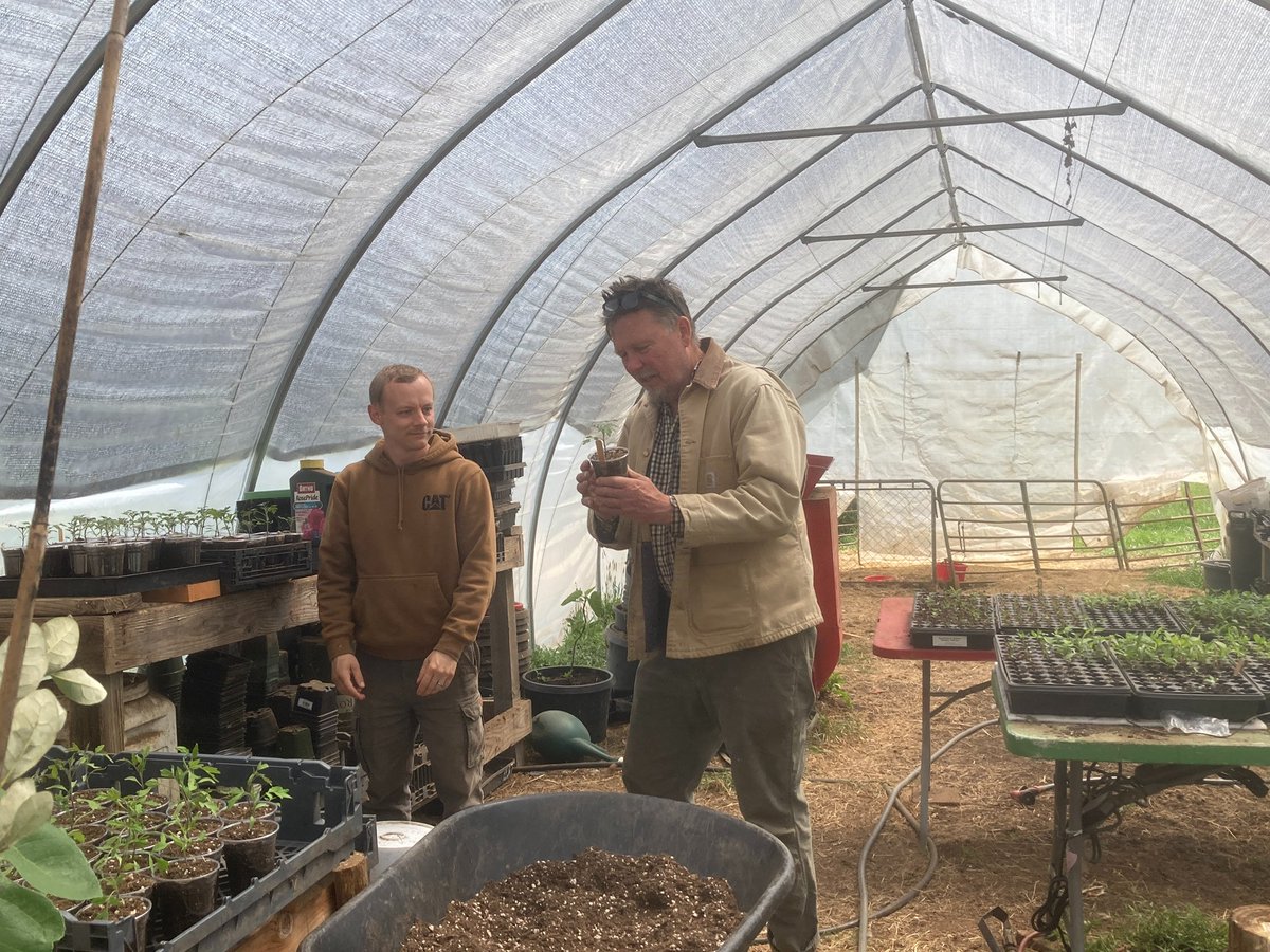 AgrarianSharing's tweet photo. Always lovely, the meeting of fellowship and the deep agrarian. A day of procession through four homesteads, knit together in generative, biocultural participation in the 100% volunteer-driven Agrarian Sharing Network Seed Increase Initiative. https://t.co/hKVWI2amwK