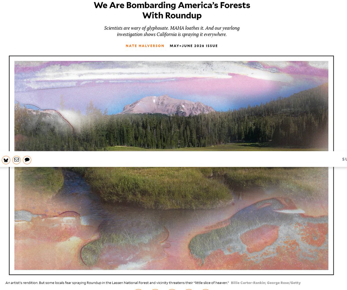 Kim M.🌈🐘🦋 tweet media