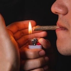 Jurídico BIANCA BORGES! 💙🇵🇸 tweet media