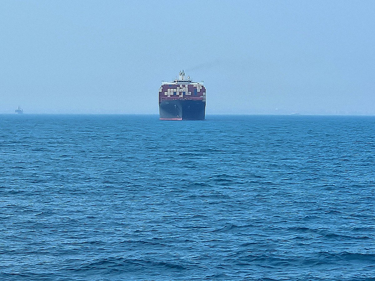 Bushra Shaikh tweet media