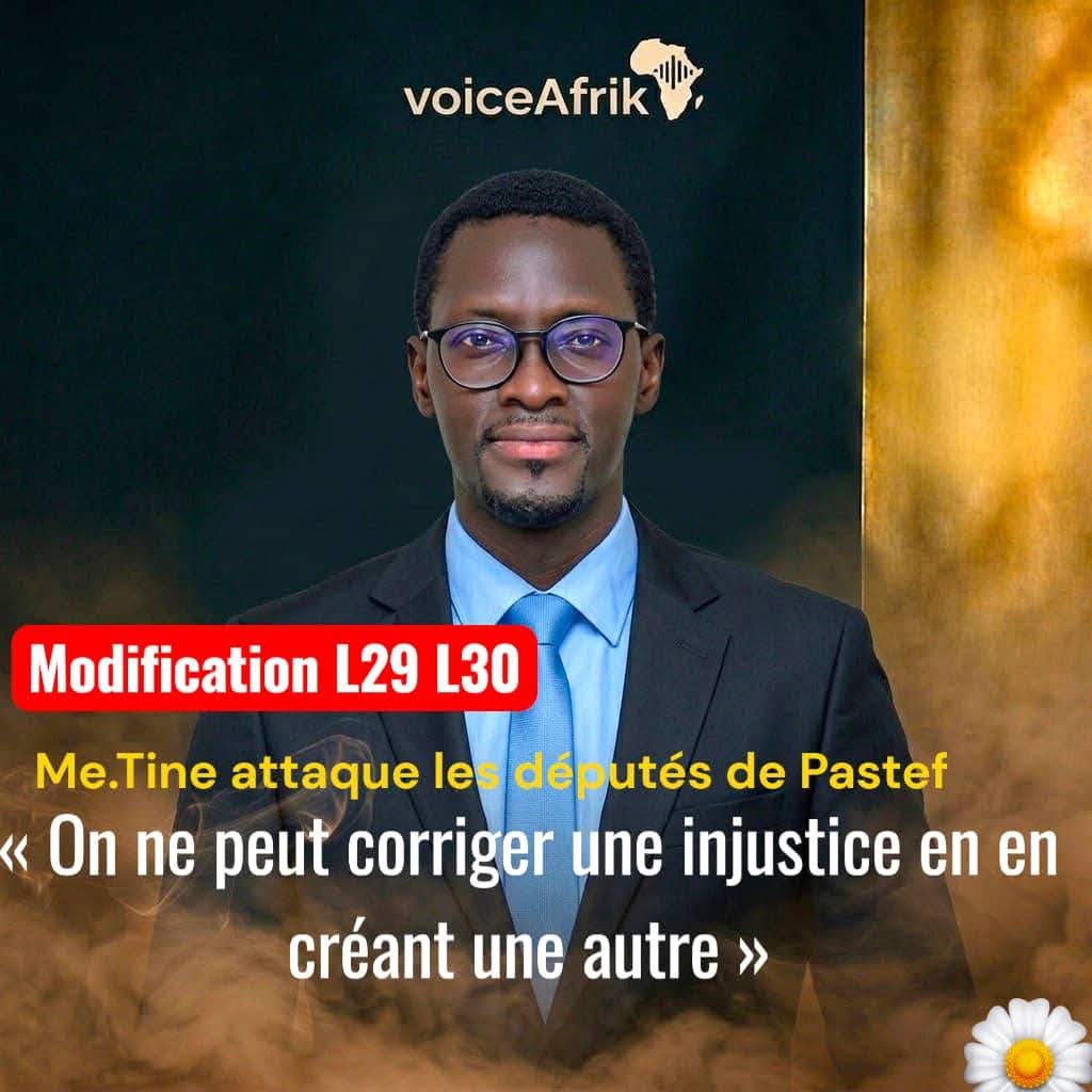 sagacité Sagacité tweet media