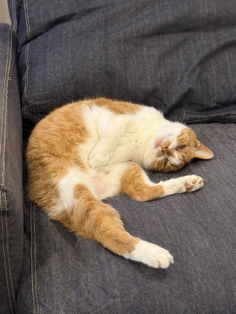 河口まなぶ tweet media