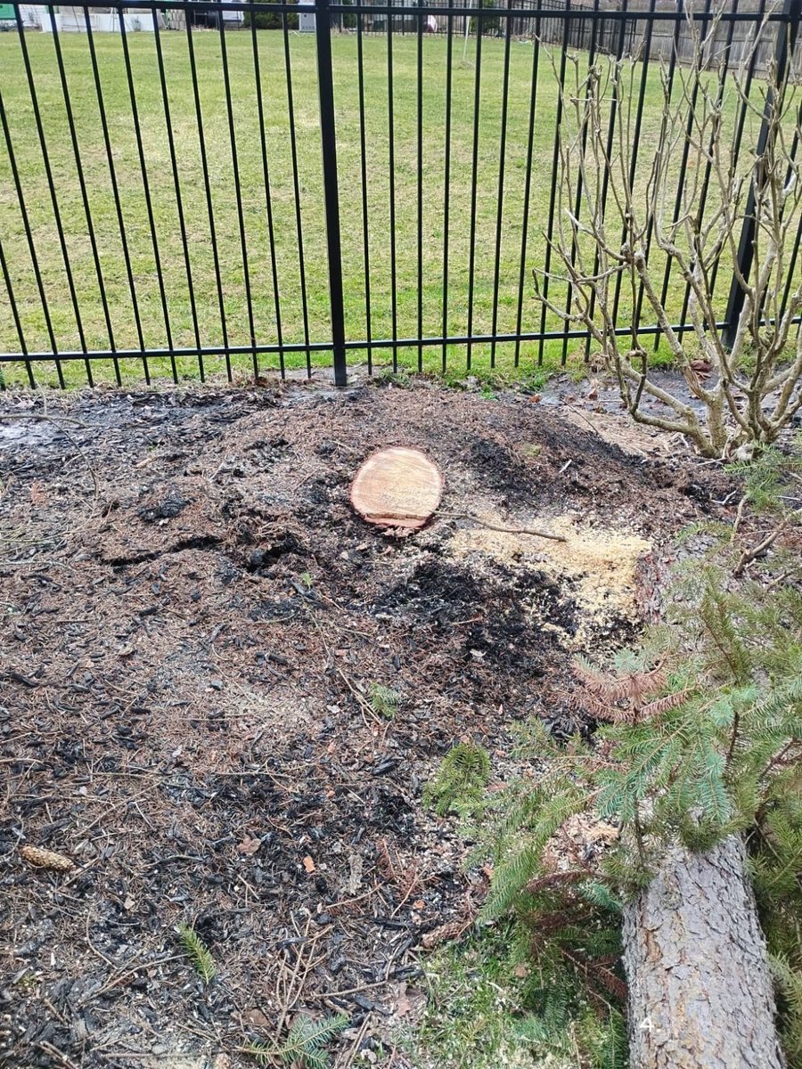 branchrochester's tweet image. 🌲 From Risk to Relief done right.

Hazardous tree? We remove it safely &amp;amp; cleanly.
✔️ Precision Cutting 
✔️ Full Clean-Up
Protect your property before it’s too late.

📞 585-479-3388 – Book today

#TreeRemoval #BranchSpecialists #TreeExperts #SafetyFirst