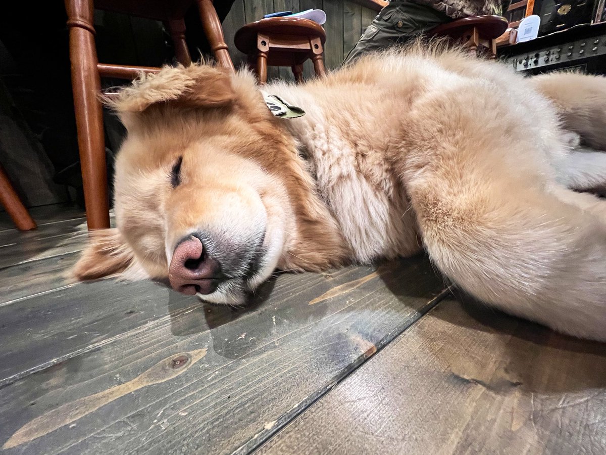 ディッパー tweet media