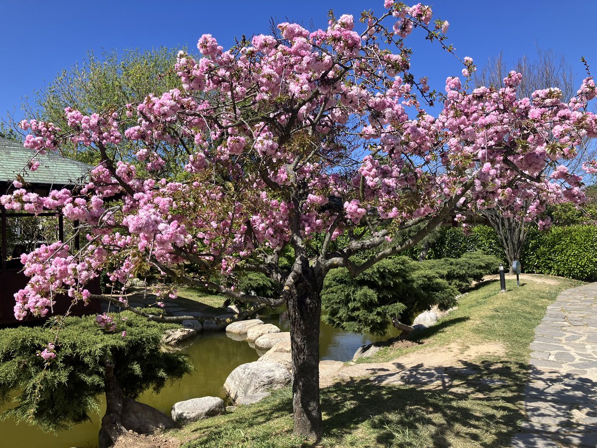 Hamit Aydın ☮️ tweet media