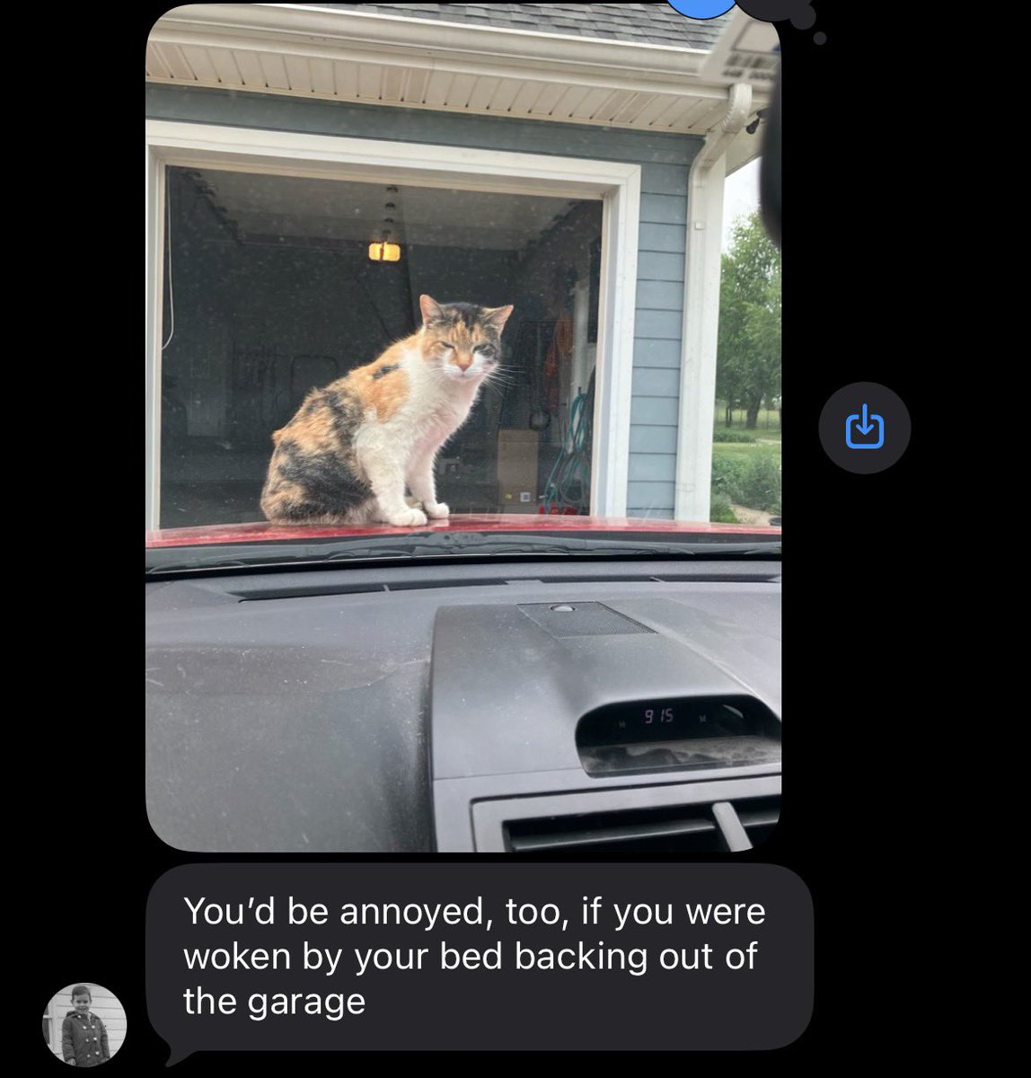 stevie & sayu tweet media