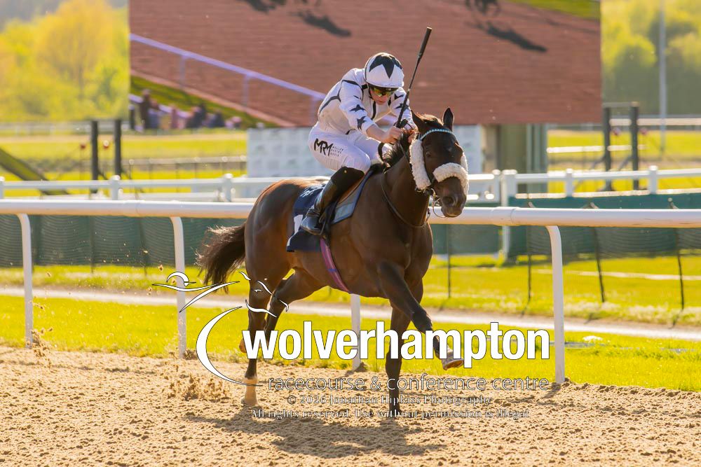 Wolverhampton Races tweet media
