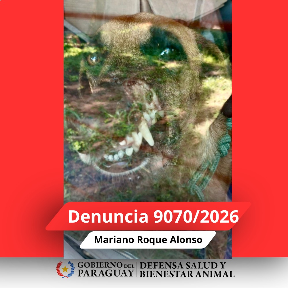 Dirección Nacional de Defensa Animal tweet media