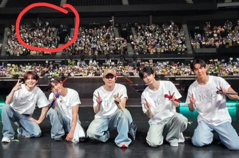 alice ~🐍 tweet media