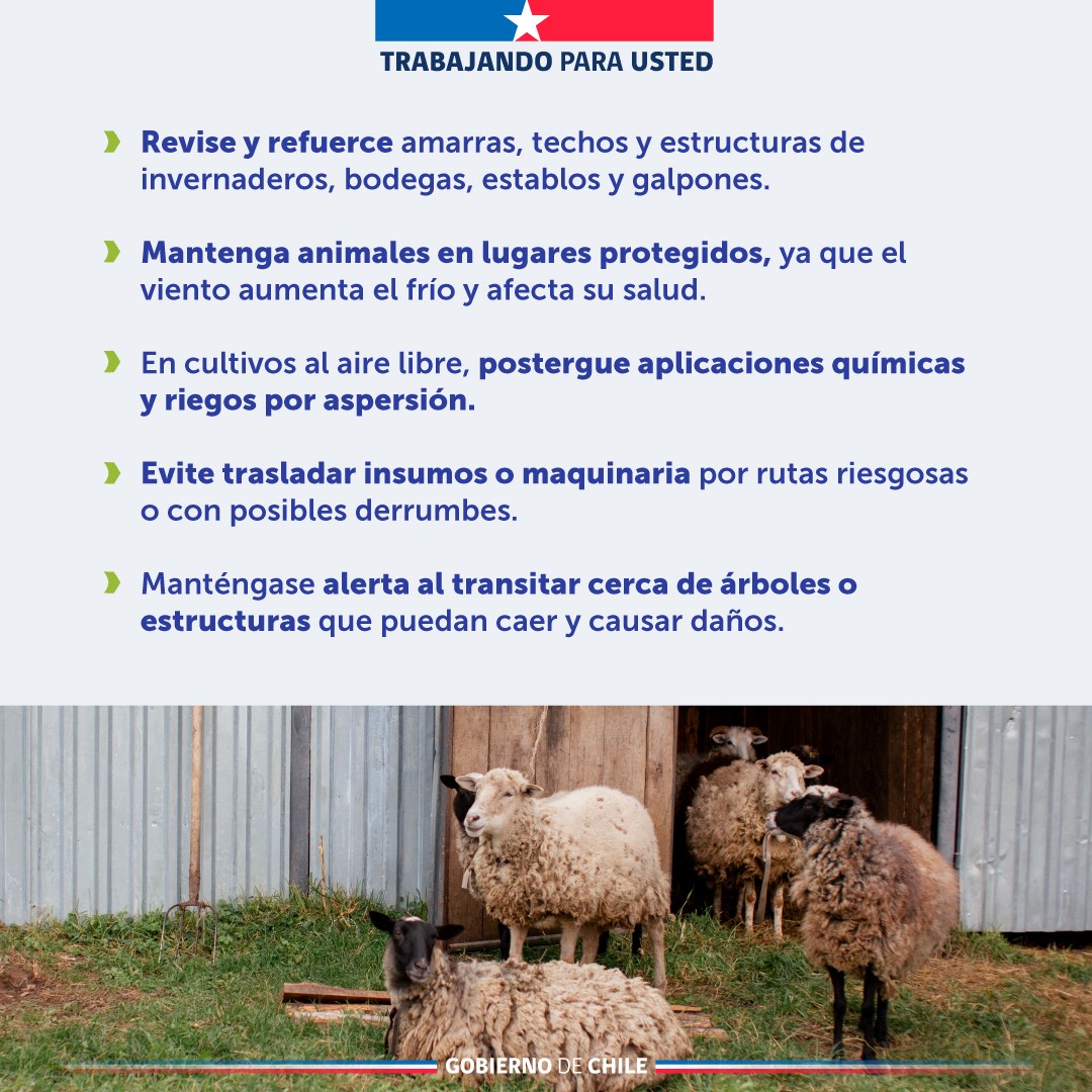 Portal Agroclimático tweet media