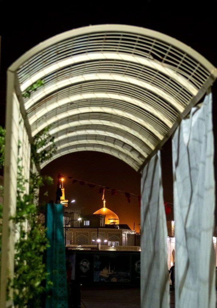 دکتر حجت tweet media