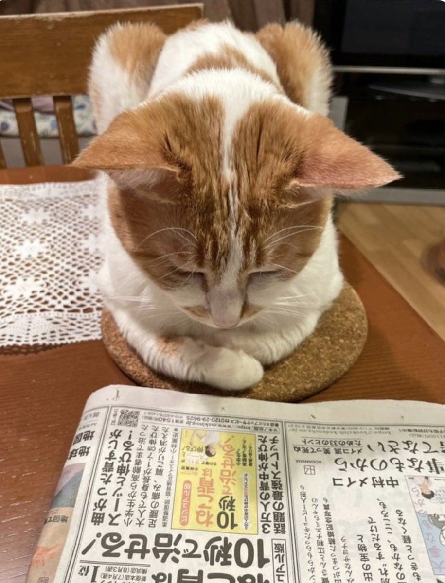牧野祐子 tweet media