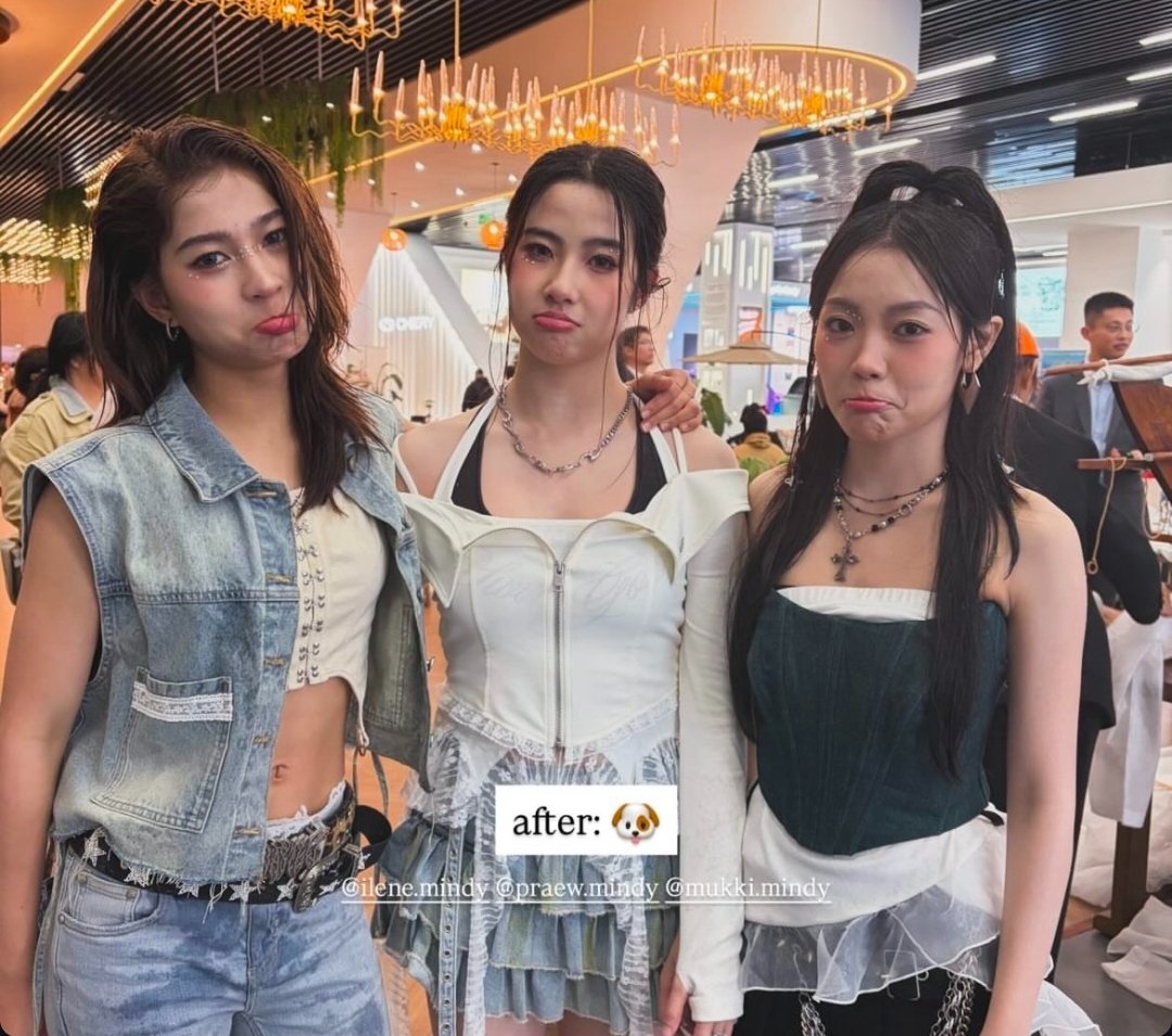 แมวเด้งส์ (ไม่อยู่) tweet media