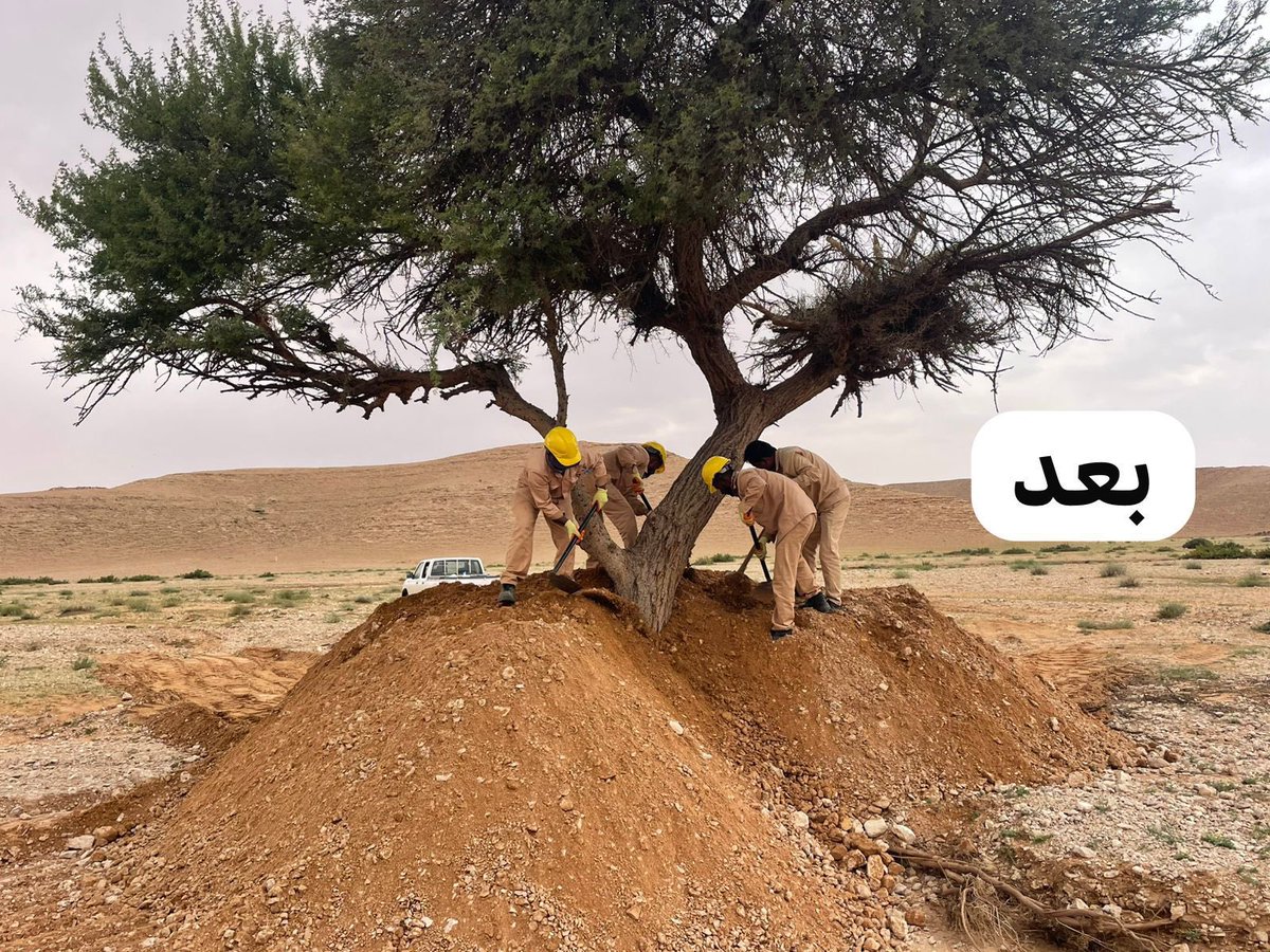 جمعية سدير الخضراء tweet media