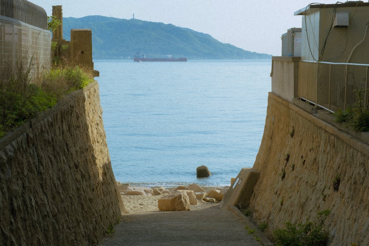 ぼんやり tweet media