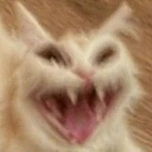 vivy - belmont team 🏒 tweet media