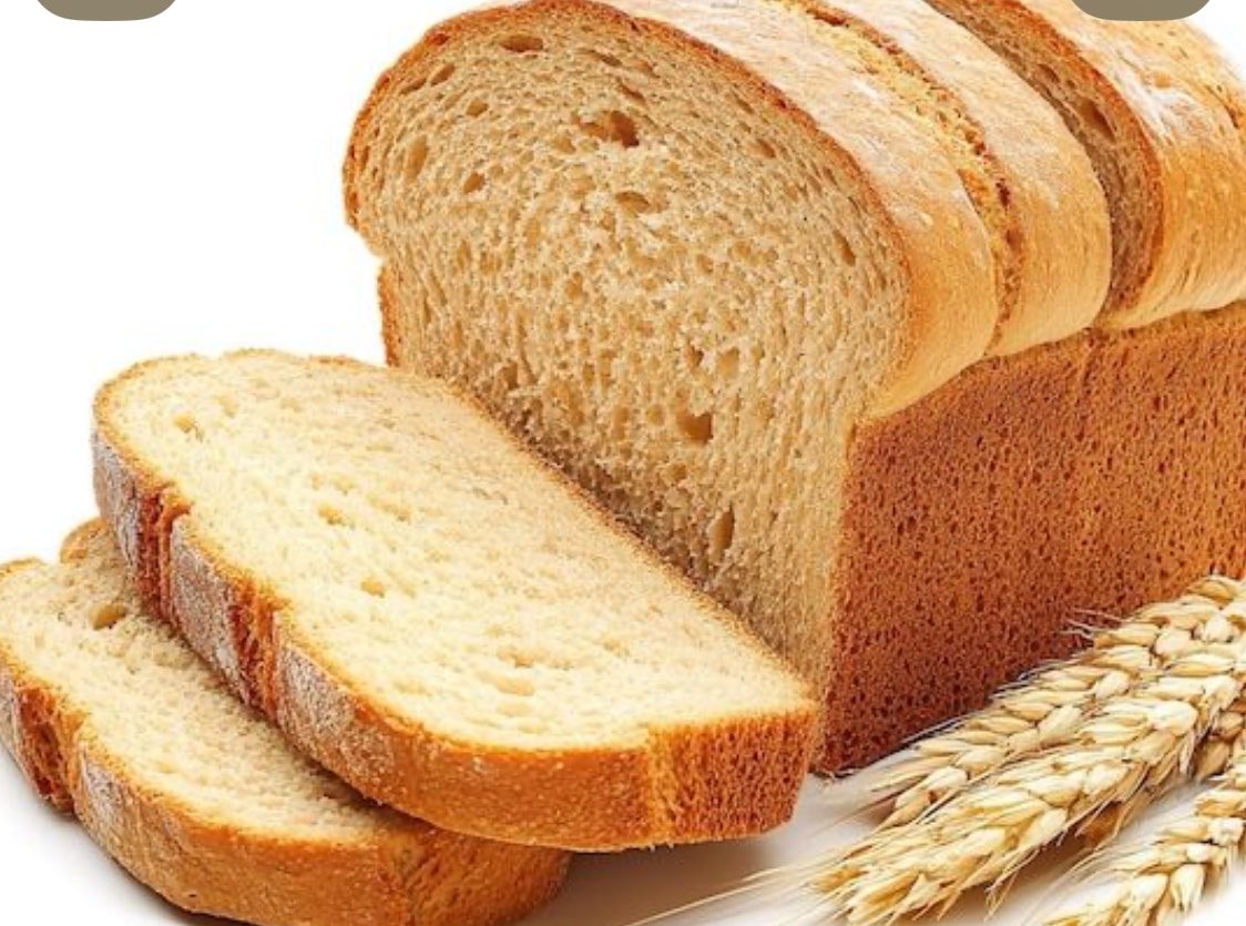 $aint🕊️ tweet media