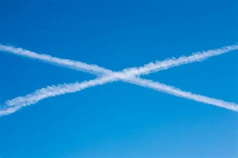 Republican Bus Driver tweet media