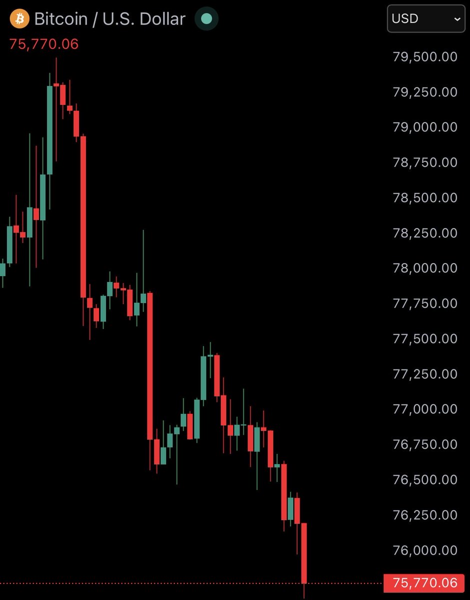 Bitcoin Junkies tweet media