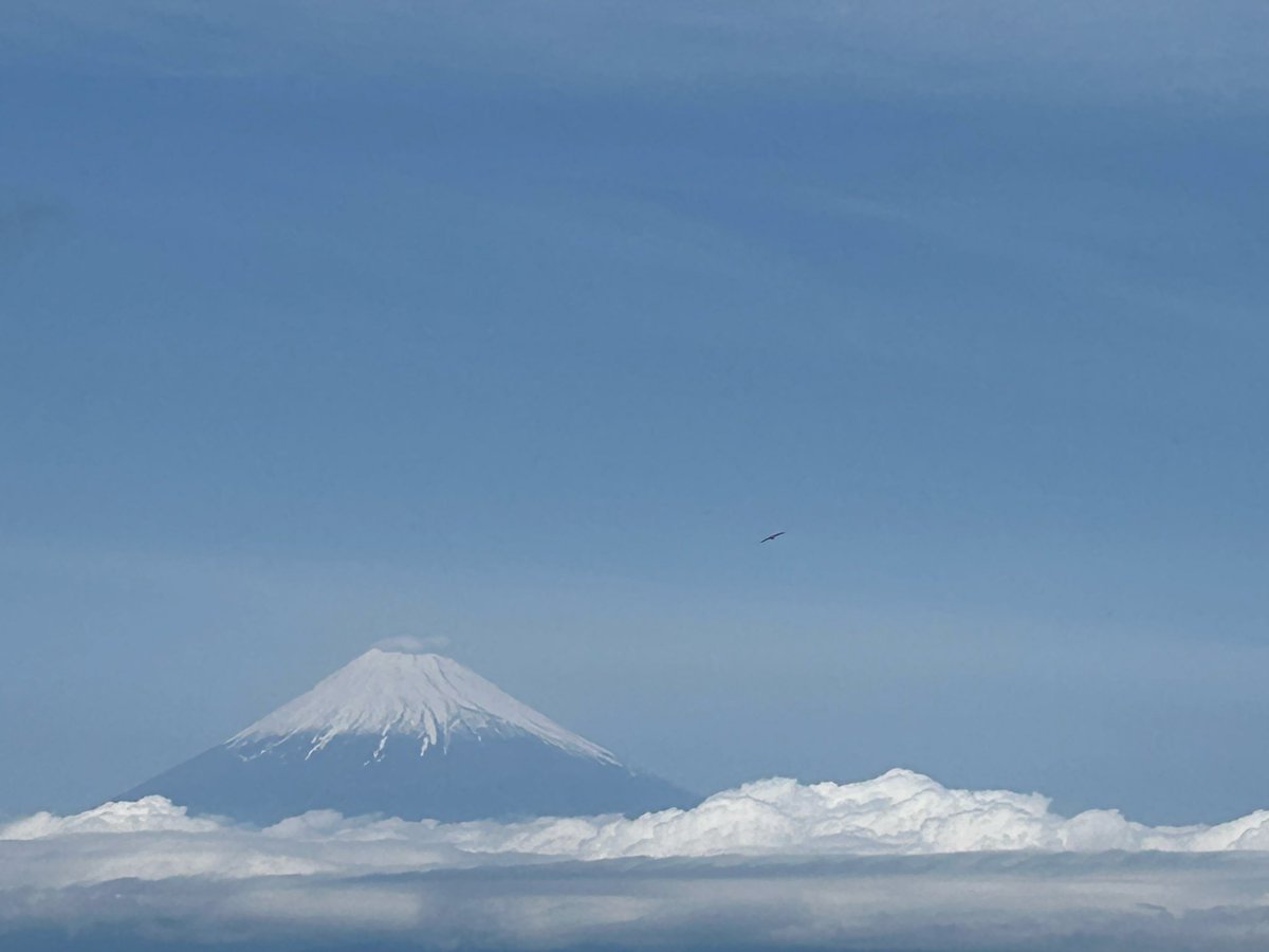hide37811's tweet photo. 1年振りぐらいに登山に行ってきました
リハビリがてらに静岡の達磨山
松竹映画のオープニングみたいな富士山と駿河湾を同時に望むことができて最高でした
帰りは修善寺で温泉で癒して帰宅
やっぱり登山はリフレッシュできます！

#達磨山　#修善寺　#松竹映画　#静岡 https://t.co/soNi8w0yxX