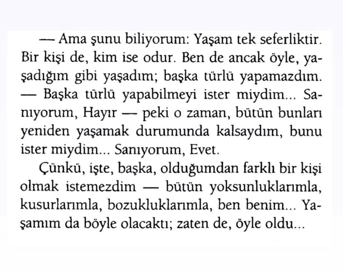 🏳️‍⚧️ meltem tweet media