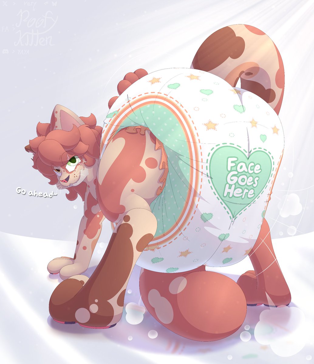 Padded Kitty cat meow tweet media