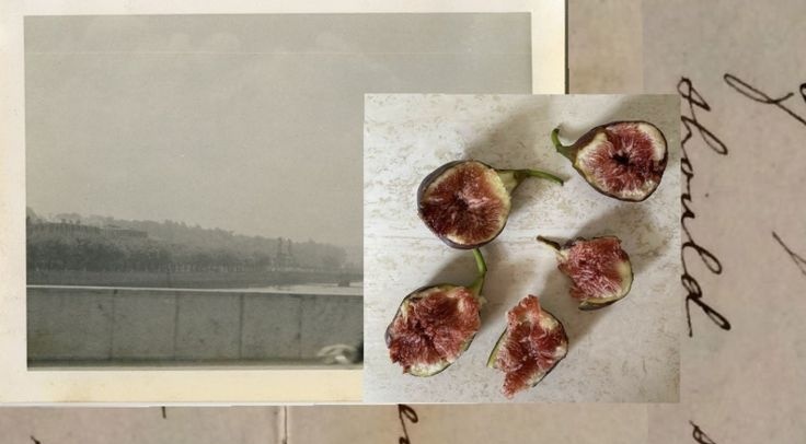 calla lilly. tweet media