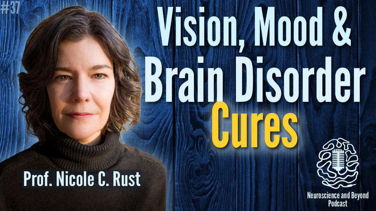 Neuroscience and Beyond tweet media