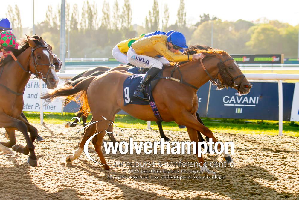 Wolverhampton Races tweet media